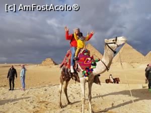 [P02] Cairo » foto by amir2020
 - 
<span class="allrVoted glyphicon glyphicon-heart hidden" id="av1141020"></span>
<a class="m-l-10 hidden" id="sv1141020" onclick="voting_Foto_DelVot(,1141020,3529)" role="button">șterge vot <span class="glyphicon glyphicon-remove"></span></a>
<a id="v91141020" class=" c-red"  onclick="voting_Foto_SetVot(1141020)" role="button"><span class="glyphicon glyphicon-heart-empty"></span> <b>LIKE</b> = Votează poza</a> <img class="hidden"  id="f1141020W9" src="/imagini/loader.gif" border="0" /><span class="AjErrMes hidden" id="e1141020ErM"></span>