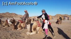 [P04]  -- <small>// FĂRĂ DESCRIERE</small> » foto by Catalina.13
 - 
<span class="allrVoted glyphicon glyphicon-heart hidden" id="av1142317"></span>
<a class="m-l-10 hidden" id="sv1142317" onclick="voting_Foto_DelVot(,1142317,3529)" role="button">șterge vot <span class="glyphicon glyphicon-remove"></span></a>
<a id="v91142317" class=" c-red"  onclick="voting_Foto_SetVot(1142317)" role="button"><span class="glyphicon glyphicon-heart-empty"></span> <b>LIKE</b> = Votează poza</a> <img class="hidden"  id="f1142317W9" src="/imagini/loader.gif" border="0" /><span class="AjErrMes hidden" id="e1142317ErM"></span>