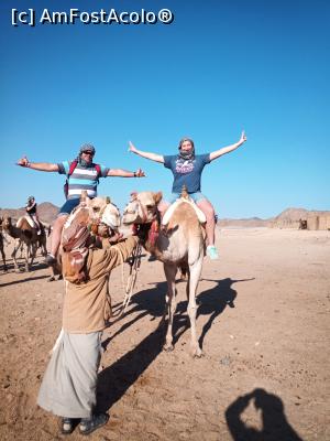 [P03]  -- <small>// FĂRĂ DESCRIERE</small> » foto by ACCB_1289
 - 
<span class="allrVoted glyphicon glyphicon-heart hidden" id="av1141716"></span>
<a class="m-l-10 hidden" id="sv1141716" onclick="voting_Foto_DelVot(,1141716,3529)" role="button">șterge vot <span class="glyphicon glyphicon-remove"></span></a>
<a id="v91141716" class=" c-red"  onclick="voting_Foto_SetVot(1141716)" role="button"><span class="glyphicon glyphicon-heart-empty"></span> <b>LIKE</b> = Votează poza</a> <img class="hidden"  id="f1141716W9" src="/imagini/loader.gif" border="0" /><span class="AjErrMes hidden" id="e1141716ErM"></span>