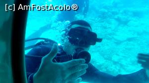 [P12] Un salut din mediul acvatic » foto by k-lator
 - 
<span class="allrVoted glyphicon glyphicon-heart hidden" id="av1224909"></span>
<a class="m-l-10 hidden" id="sv1224909" onclick="voting_Foto_DelVot(,1224909,3529)" role="button">șterge vot <span class="glyphicon glyphicon-remove"></span></a>
<a id="v91224909" class=" c-red"  onclick="voting_Foto_SetVot(1224909)" role="button"><span class="glyphicon glyphicon-heart-empty"></span> <b>LIKE</b> = Votează poza</a> <img class="hidden"  id="f1224909W9" src="/imagini/loader.gif" border="0" /><span class="AjErrMes hidden" id="e1224909ErM"></span>