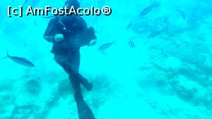 [P18] Scafandrul pe post de mariachi » foto by k-lator
 - 
<span class="allrVoted glyphicon glyphicon-heart hidden" id="av1224915"></span>
<a class="m-l-10 hidden" id="sv1224915" onclick="voting_Foto_DelVot(,1224915,3529)" role="button">șterge vot <span class="glyphicon glyphicon-remove"></span></a>
<a id="v91224915" class=" c-red"  onclick="voting_Foto_SetVot(1224915)" role="button"><span class="glyphicon glyphicon-heart-empty"></span> <b>LIKE</b> = Votează poza</a> <img class="hidden"  id="f1224915W9" src="/imagini/loader.gif" border="0" /><span class="AjErrMes hidden" id="e1224915ErM"></span>