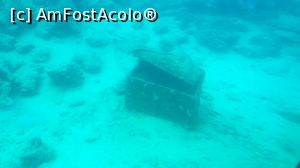 [P20] Comoara pierdută a piraților » foto by k-lator
 - 
<span class="allrVoted glyphicon glyphicon-heart hidden" id="av1224917"></span>
<a class="m-l-10 hidden" id="sv1224917" onclick="voting_Foto_DelVot(,1224917,3529)" role="button">șterge vot <span class="glyphicon glyphicon-remove"></span></a>
<a id="v91224917" class=" c-red"  onclick="voting_Foto_SetVot(1224917)" role="button"><span class="glyphicon glyphicon-heart-empty"></span> <b>LIKE</b> = Votează poza</a> <img class="hidden"  id="f1224917W9" src="/imagini/loader.gif" border="0" /><span class="AjErrMes hidden" id="e1224917ErM"></span>