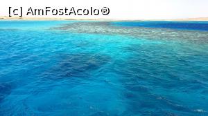 [P10] Ape verzi-albastre și coral la orizont » foto by k-lator
 - 
<span class="allrVoted glyphicon glyphicon-heart hidden" id="av1225324"></span>
<a class="m-l-10 hidden" id="sv1225324" onclick="voting_Foto_DelVot(,1225324,3529)" role="button">șterge vot <span class="glyphicon glyphicon-remove"></span></a>
<a id="v91225324" class=" c-red"  onclick="voting_Foto_SetVot(1225324)" role="button"><span class="glyphicon glyphicon-heart-empty"></span> <b>LIKE</b> = Votează poza</a> <img class="hidden"  id="f1225324W9" src="/imagini/loader.gif" border="0" /><span class="AjErrMes hidden" id="e1225324ErM"></span>