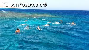 [P12] A &icirc;nceput distracția » foto by k-lator
 - 
<span class="allrVoted glyphicon glyphicon-heart hidden" id="av1225326"></span>
<a class="m-l-10 hidden" id="sv1225326" onclick="voting_Foto_DelVot(,1225326,3529)" role="button">șterge vot <span class="glyphicon glyphicon-remove"></span></a>
<a id="v91225326" class=" c-red"  onclick="voting_Foto_SetVot(1225326)" role="button"><span class="glyphicon glyphicon-heart-empty"></span> <b>LIKE</b> = Votează poza</a> <img class="hidden"  id="f1225326W9" src="/imagini/loader.gif" border="0" /><span class="AjErrMes hidden" id="e1225326ErM"></span>