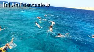 [P13] A &icirc;nceput distracția » foto by k-lator
 - 
<span class="allrVoted glyphicon glyphicon-heart hidden" id="av1225327"></span>
<a class="m-l-10 hidden" id="sv1225327" onclick="voting_Foto_DelVot(,1225327,3529)" role="button">șterge vot <span class="glyphicon glyphicon-remove"></span></a>
<a id="v91225327" class=" c-red"  onclick="voting_Foto_SetVot(1225327)" role="button"><span class="glyphicon glyphicon-heart-empty"></span> <b>LIKE</b> = Votează poza</a> <img class="hidden"  id="f1225327W9" src="/imagini/loader.gif" border="0" /><span class="AjErrMes hidden" id="e1225327ErM"></span>