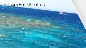 [P14] A &icirc;nceput distracția » foto by k-lator
 - 
<span class="allrVoted glyphicon glyphicon-heart hidden" id="av1225328"></span>
<a class="m-l-10 hidden" id="sv1225328" onclick="voting_Foto_DelVot(,1225328,3529)" role="button">șterge vot <span class="glyphicon glyphicon-remove"></span></a>
<a id="v91225328" class=" c-red"  onclick="voting_Foto_SetVot(1225328)" role="button"><span class="glyphicon glyphicon-heart-empty"></span> <b>LIKE</b> = Votează poza</a> <img class="hidden"  id="f1225328W9" src="/imagini/loader.gif" border="0" /><span class="AjErrMes hidden" id="e1225328ErM"></span>