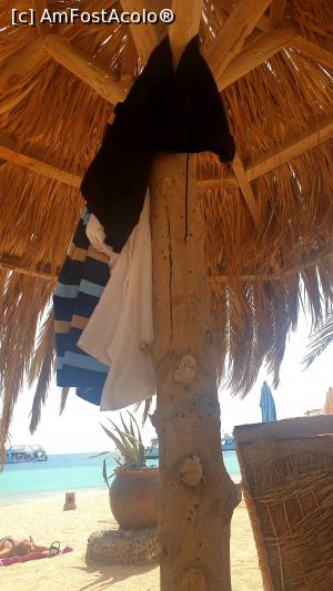 [P21] Paradise Island -  de sub umbrelă » foto by k-lator
 - 
<span class="allrVoted glyphicon glyphicon-heart hidden" id="av1225335"></span>
<a class="m-l-10 hidden" id="sv1225335" onclick="voting_Foto_DelVot(,1225335,3529)" role="button">șterge vot <span class="glyphicon glyphicon-remove"></span></a>
<a id="v91225335" class=" c-red"  onclick="voting_Foto_SetVot(1225335)" role="button"><span class="glyphicon glyphicon-heart-empty"></span> <b>LIKE</b> = Votează poza</a> <img class="hidden"  id="f1225335W9" src="/imagini/loader.gif" border="0" /><span class="AjErrMes hidden" id="e1225335ErM"></span>