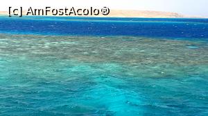 [P25] 4 culori diferite » foto by k-lator
 - 
<span class="allrVoted glyphicon glyphicon-heart hidden" id="av1225339"></span>
<a class="m-l-10 hidden" id="sv1225339" onclick="voting_Foto_DelVot(,1225339,3529)" role="button">șterge vot <span class="glyphicon glyphicon-remove"></span></a>
<a id="v91225339" class=" c-red"  onclick="voting_Foto_SetVot(1225339)" role="button"><span class="glyphicon glyphicon-heart-empty"></span> <b>LIKE</b> = Votează poza</a> <img class="hidden"  id="f1225339W9" src="/imagini/loader.gif" border="0" /><span class="AjErrMes hidden" id="e1225339ErM"></span>