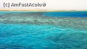 [P26] recif văzut de pe nava de croazieră » foto by k-lator
 - 
<span class="allrVoted glyphicon glyphicon-heart hidden" id="av1225340"></span>
<a class="m-l-10 hidden" id="sv1225340" onclick="voting_Foto_DelVot(,1225340,3529)" role="button">șterge vot <span class="glyphicon glyphicon-remove"></span></a>
<a id="v91225340" class=" c-red"  onclick="voting_Foto_SetVot(1225340)" role="button"><span class="glyphicon glyphicon-heart-empty"></span> <b>LIKE</b> = Votează poza</a> <img class="hidden"  id="f1225340W9" src="/imagini/loader.gif" border="0" /><span class="AjErrMes hidden" id="e1225340ErM"></span>