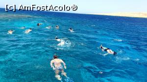 [P27] La snorkelleală cu voi! » foto by k-lator
 - 
<span class="allrVoted glyphicon glyphicon-heart hidden" id="av1225341"></span>
<a class="m-l-10 hidden" id="sv1225341" onclick="voting_Foto_DelVot(,1225341,3529)" role="button">șterge vot <span class="glyphicon glyphicon-remove"></span></a>
<a id="v91225341" class=" c-red"  onclick="voting_Foto_SetVot(1225341)" role="button"><span class="glyphicon glyphicon-heart-empty"></span> <b>LIKE</b> = Votează poza</a> <img class="hidden"  id="f1225341W9" src="/imagini/loader.gif" border="0" /><span class="AjErrMes hidden" id="e1225341ErM"></span>