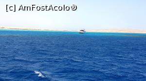 [P28] Albastru ca de cerneală » foto by k-lator
 - 
<span class="allrVoted glyphicon glyphicon-heart hidden" id="av1225342"></span>
<a class="m-l-10 hidden" id="sv1225342" onclick="voting_Foto_DelVot(,1225342,3529)" role="button">șterge vot <span class="glyphicon glyphicon-remove"></span></a>
<a id="v91225342" class=" c-red"  onclick="voting_Foto_SetVot(1225342)" role="button"><span class="glyphicon glyphicon-heart-empty"></span> <b>LIKE</b> = Votează poza</a> <img class="hidden"  id="f1225342W9" src="/imagini/loader.gif" border="0" /><span class="AjErrMes hidden" id="e1225342ErM"></span>