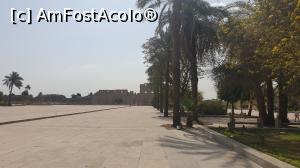 [P14] Templul Karnak - către primul Pilon, pe aleea cu palmieri » foto by k-lator
 - 
<span class="allrVoted glyphicon glyphicon-heart hidden" id="av1226891"></span>
<a class="m-l-10 hidden" id="sv1226891" onclick="voting_Foto_DelVot(,1226891,3529)" role="button">șterge vot <span class="glyphicon glyphicon-remove"></span></a>
<a id="v91226891" class=" c-red"  onclick="voting_Foto_SetVot(1226891)" role="button"><span class="glyphicon glyphicon-heart-empty"></span> <b>LIKE</b> = Votează poza</a> <img class="hidden"  id="f1226891W9" src="/imagini/loader.gif" border="0" /><span class="AjErrMes hidden" id="e1226891ErM"></span>