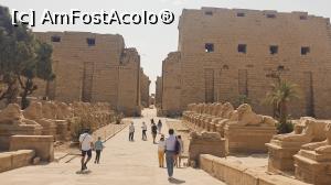 [P15] Templul Karnak - aleea sfincșilor cu trupuri de leu și capete de berbec » foto by k-lator
 - 
<span class="allrVoted glyphicon glyphicon-heart hidden" id="av1226892"></span>
<a class="m-l-10 hidden" id="sv1226892" onclick="voting_Foto_DelVot(,1226892,3529)" role="button">șterge vot <span class="glyphicon glyphicon-remove"></span></a>
<a id="v91226892" class=" c-red"  onclick="voting_Foto_SetVot(1226892)" role="button"><span class="glyphicon glyphicon-heart-empty"></span> <b>LIKE</b> = Votează poza</a> <img class="hidden"  id="f1226892W9" src="/imagini/loader.gif" border="0" /><span class="AjErrMes hidden" id="e1226892ErM"></span>