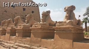 [P16] Templul Karnak - sfincși cu trupuri de leu și capete de berbec » foto by k-lator
 - 
<span class="allrVoted glyphicon glyphicon-heart hidden" id="av1226893"></span>
<a class="m-l-10 hidden" id="sv1226893" onclick="voting_Foto_DelVot(,1226893,3529)" role="button">șterge vot <span class="glyphicon glyphicon-remove"></span></a>
<a id="v91226893" class=" c-red"  onclick="voting_Foto_SetVot(1226893)" role="button"><span class="glyphicon glyphicon-heart-empty"></span> <b>LIKE</b> = Votează poza</a> <img class="hidden"  id="f1226893W9" src="/imagini/loader.gif" border="0" /><span class="AjErrMes hidden" id="e1226893ErM"></span>