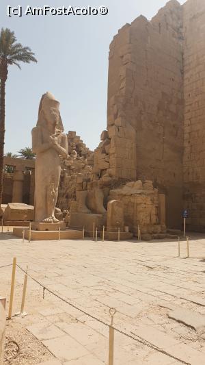 [P18] Templul Karnak - statuia gigantică a lui Ramses al II-lea; la picioare este reprezentată una dintre ficele sale sau una din soțiile ce i-au urmat lui Nefertari » foto by k-lator
 - 
<span class="allrVoted glyphicon glyphicon-heart hidden" id="av1226895"></span>
<a class="m-l-10 hidden" id="sv1226895" onclick="voting_Foto_DelVot(,1226895,3529)" role="button">șterge vot <span class="glyphicon glyphicon-remove"></span></a>
<a id="v91226895" class=" c-red"  onclick="voting_Foto_SetVot(1226895)" role="button"><span class="glyphicon glyphicon-heart-empty"></span> <b>LIKE</b> = Votează poza</a> <img class="hidden"  id="f1226895W9" src="/imagini/loader.gif" border="0" /><span class="AjErrMes hidden" id="e1226895ErM"></span>