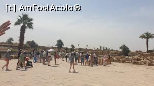 [P25] Templul Karnak - &icirc;n apropierea Lacului Sacru » foto by k-lator
 - 
<span class="allrVoted glyphicon glyphicon-heart hidden" id="av1226902"></span>
<a class="m-l-10 hidden" id="sv1226902" onclick="voting_Foto_DelVot(,1226902,3529)" role="button">șterge vot <span class="glyphicon glyphicon-remove"></span></a>
<a id="v91226902" class=" c-red"  onclick="voting_Foto_SetVot(1226902)" role="button"><span class="glyphicon glyphicon-heart-empty"></span> <b>LIKE</b> = Votează poza</a> <img class="hidden"  id="f1226902W9" src="/imagini/loader.gif" border="0" /><span class="AjErrMes hidden" id="e1226902ErM"></span>