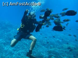 [P12] Poza din semi-submarin » foto by marbar
 - 
<span class="allrVoted glyphicon glyphicon-heart hidden" id="av1212111"></span>
<a class="m-l-10 hidden" id="sv1212111" onclick="voting_Foto_DelVot(,1212111,3529)" role="button">șterge vot <span class="glyphicon glyphicon-remove"></span></a>
<a id="v91212111" class=" c-red"  onclick="voting_Foto_SetVot(1212111)" role="button"><span class="glyphicon glyphicon-heart-empty"></span> <b>LIKE</b> = Votează poza</a> <img class="hidden"  id="f1212111W9" src="/imagini/loader.gif" border="0" /><span class="AjErrMes hidden" id="e1212111ErM"></span>