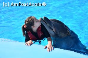 [P04] Sedinta foto cu delfinii by Amir Gemy » foto by Marinela PTC
 - 
<span class="allrVoted glyphicon glyphicon-heart hidden" id="av1214295"></span>
<a class="m-l-10 hidden" id="sv1214295" onclick="voting_Foto_DelVot(,1214295,3529)" role="button">șterge vot <span class="glyphicon glyphicon-remove"></span></a>
<a id="v91214295" class=" c-red"  onclick="voting_Foto_SetVot(1214295)" role="button"><span class="glyphicon glyphicon-heart-empty"></span> <b>LIKE</b> = Votează poza</a> <img class="hidden"  id="f1214295W9" src="/imagini/loader.gif" border="0" /><span class="AjErrMes hidden" id="e1214295ErM"></span>