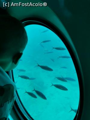 [P02] Sindbad Submarine » foto by ralukpopescu
 - 
<span class="allrVoted glyphicon glyphicon-heart hidden" id="av1219235"></span>
<a class="m-l-10 hidden" id="sv1219235" onclick="voting_Foto_DelVot(,1219235,3529)" role="button">șterge vot <span class="glyphicon glyphicon-remove"></span></a>
<a id="v91219235" class=" c-red"  onclick="voting_Foto_SetVot(1219235)" role="button"><span class="glyphicon glyphicon-heart-empty"></span> <b>LIKE</b> = Votează poza</a> <img class="hidden"  id="f1219235W9" src="/imagini/loader.gif" border="0" /><span class="AjErrMes hidden" id="e1219235ErM"></span>