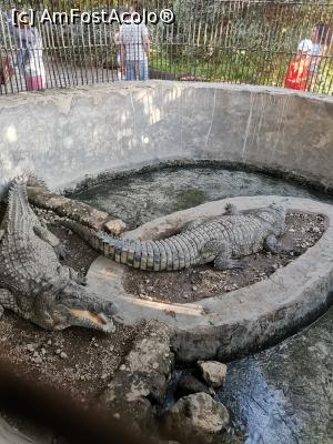 [P04] Banana Island » foto by ralukpopescu
 - 
<span class="allrVoted glyphicon glyphicon-heart hidden" id="av1219237"></span>
<a class="m-l-10 hidden" id="sv1219237" onclick="voting_Foto_DelVot(,1219237,3529)" role="button">șterge vot <span class="glyphicon glyphicon-remove"></span></a>
<a id="v91219237" class=" c-red"  onclick="voting_Foto_SetVot(1219237)" role="button"><span class="glyphicon glyphicon-heart-empty"></span> <b>LIKE</b> = Votează poza</a> <img class="hidden"  id="f1219237W9" src="/imagini/loader.gif" border="0" /><span class="AjErrMes hidden" id="e1219237ErM"></span>