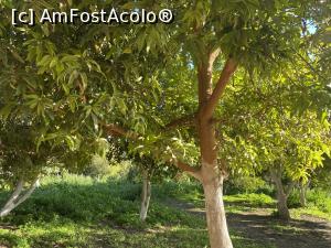 [P05]  -- <small>// FĂRĂ DESCRIERE</small> » foto by ux118994
 - 
<span class="allrVoted glyphicon glyphicon-heart hidden" id="av1219355"></span>
<a class="m-l-10 hidden" id="sv1219355" onclick="voting_Foto_DelVot(,1219355,3529)" role="button">șterge vot <span class="glyphicon glyphicon-remove"></span></a>
<a id="v91219355" class=" c-red"  onclick="voting_Foto_SetVot(1219355)" role="button"><span class="glyphicon glyphicon-heart-empty"></span> <b>LIKE</b> = Votează poza</a> <img class="hidden"  id="f1219355W9" src="/imagini/loader.gif" border="0" /><span class="AjErrMes hidden" id="e1219355ErM"></span>