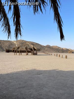 [P01] Safari in desert » foto by ux119069
 - 
<span class="allrVoted glyphicon glyphicon-heart hidden" id="av1220043"></span>
<a class="m-l-10 hidden" id="sv1220043" onclick="voting_Foto_DelVot(,1220043,3529)" role="button">șterge vot <span class="glyphicon glyphicon-remove"></span></a>
<a id="v91220043" class=" c-red"  onclick="voting_Foto_SetVot(1220043)" role="button"><span class="glyphicon glyphicon-heart-empty"></span> <b>LIKE</b> = Votează poza</a> <img class="hidden"  id="f1220043W9" src="/imagini/loader.gif" border="0" /><span class="AjErrMes hidden" id="e1220043ErM"></span>