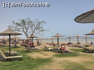 [P10]  -- <small>// FĂRĂ DESCRIERE</small> » foto by Alina07
 - 
<span class="allrVoted glyphicon glyphicon-heart hidden" id="av1224118"></span>
<a class="m-l-10 hidden" id="sv1224118" onclick="voting_Foto_DelVot(,1224118,3529)" role="button">șterge vot <span class="glyphicon glyphicon-remove"></span></a>
<a id="v91224118" class=" c-red"  onclick="voting_Foto_SetVot(1224118)" role="button"><span class="glyphicon glyphicon-heart-empty"></span> <b>LIKE</b> = Votează poza</a> <img class="hidden"  id="f1224118W9" src="/imagini/loader.gif" border="0" /><span class="AjErrMes hidden" id="e1224118ErM"></span>