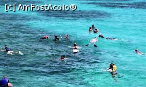 [P10] grupul nostru » foto by vivi2002
 - 
<span class="allrVoted glyphicon glyphicon-heart hidden" id="av1230532"></span>
<a class="m-l-10 hidden" id="sv1230532" onclick="voting_Foto_DelVot(,1230532,3529)" role="button">șterge vot <span class="glyphicon glyphicon-remove"></span></a>
<a id="v91230532" class=" c-red"  onclick="voting_Foto_SetVot(1230532)" role="button"><span class="glyphicon glyphicon-heart-empty"></span> <b>LIKE</b> = Votează poza</a> <img class="hidden"  id="f1230532W9" src="/imagini/loader.gif" border="0" /><span class="AjErrMes hidden" id="e1230532ErM"></span>