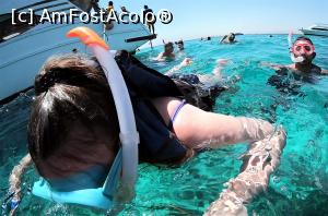 [P12] scufundare individuală » foto by vivi2002
 - 
<span class="allrVoted glyphicon glyphicon-heart hidden" id="av1230534"></span>
<a class="m-l-10 hidden" id="sv1230534" onclick="voting_Foto_DelVot(,1230534,3529)" role="button">șterge vot <span class="glyphicon glyphicon-remove"></span></a>
<a id="v91230534" class=" c-red"  onclick="voting_Foto_SetVot(1230534)" role="button"><span class="glyphicon glyphicon-heart-empty"></span> <b>LIKE</b> = Votează poza</a> <img class="hidden"  id="f1230534W9" src="/imagini/loader.gif" border="0" /><span class="AjErrMes hidden" id="e1230534ErM"></span>