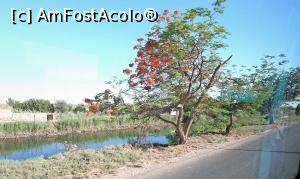 [P03] drumul spre Luxor » foto by vivi2002
 - 
<span class="allrVoted glyphicon glyphicon-heart hidden" id="av1230832"></span>
<a class="m-l-10 hidden" id="sv1230832" onclick="voting_Foto_DelVot(,1230832,3529)" role="button">șterge vot <span class="glyphicon glyphicon-remove"></span></a>
<a id="v91230832" class=" c-red"  onclick="voting_Foto_SetVot(1230832)" role="button"><span class="glyphicon glyphicon-heart-empty"></span> <b>LIKE</b> = Votează poza</a> <img class="hidden"  id="f1230832W9" src="/imagini/loader.gif" border="0" /><span class="AjErrMes hidden" id="e1230832ErM"></span>