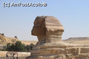 [P03] Sfinx-ul » foto by gabirom
 - 
<span class="allrVoted glyphicon glyphicon-heart hidden" id="av1226869"></span>
<a class="m-l-10 hidden" id="sv1226869" onclick="voting_Foto_DelVot(,1226869,3529)" role="button">șterge vot <span class="glyphicon glyphicon-remove"></span></a>
<a id="v91226869" class=" c-red"  onclick="voting_Foto_SetVot(1226869)" role="button"><span class="glyphicon glyphicon-heart-empty"></span> <b>LIKE</b> = Votează poza</a> <img class="hidden"  id="f1226869W9" src="/imagini/loader.gif" border="0" /><span class="AjErrMes hidden" id="e1226869ErM"></span>