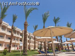 [P24] Albatros Palace » foto by ovidiucomsa
 - 
<span class="allrVoted glyphicon glyphicon-heart hidden" id="av1228637"></span>
<a class="m-l-10 hidden" id="sv1228637" onclick="voting_Foto_DelVot(,1228637,3529)" role="button">șterge vot <span class="glyphicon glyphicon-remove"></span></a>
<a id="v91228637" class=" c-red"  onclick="voting_Foto_SetVot(1228637)" role="button"><span class="glyphicon glyphicon-heart-empty"></span> <b>LIKE</b> = Votează poza</a> <img class="hidden"  id="f1228637W9" src="/imagini/loader.gif" border="0" /><span class="AjErrMes hidden" id="e1228637ErM"></span>