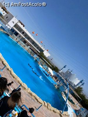 [P28] Albatros Palace » foto by ovidiucomsa
 - 
<span class="allrVoted glyphicon glyphicon-heart hidden" id="av1228641"></span>
<a class="m-l-10 hidden" id="sv1228641" onclick="voting_Foto_DelVot(,1228641,3529)" role="button">șterge vot <span class="glyphicon glyphicon-remove"></span></a>
<a id="v91228641" class=" c-red"  onclick="voting_Foto_SetVot(1228641)" role="button"><span class="glyphicon glyphicon-heart-empty"></span> <b>LIKE</b> = Votează poza</a> <img class="hidden"  id="f1228641W9" src="/imagini/loader.gif" border="0" /><span class="AjErrMes hidden" id="e1228641ErM"></span>