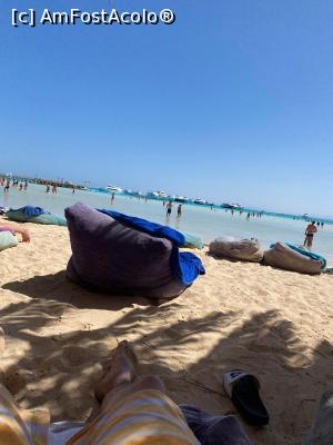 [P29] Albatros Palace  - plaja » foto by ovidiucomsa
 - 
<span class="allrVoted glyphicon glyphicon-heart hidden" id="av1228642"></span>
<a class="m-l-10 hidden" id="sv1228642" onclick="voting_Foto_DelVot(,1228642,3529)" role="button">șterge vot <span class="glyphicon glyphicon-remove"></span></a>
<a id="v91228642" class=" c-red"  onclick="voting_Foto_SetVot(1228642)" role="button"><span class="glyphicon glyphicon-heart-empty"></span> <b>LIKE</b> = Votează poza</a> <img class="hidden"  id="f1228642W9" src="/imagini/loader.gif" border="0" /><span class="AjErrMes hidden" id="e1228642ErM"></span>