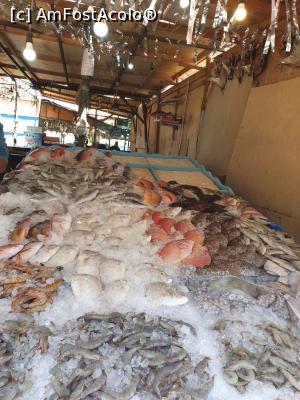 [P03] Hurghada piața de pește » foto by ovidiucomsa
 - 
<span class="allrVoted glyphicon glyphicon-heart hidden" id="av1228616"></span>
<a class="m-l-10 hidden" id="sv1228616" onclick="voting_Foto_DelVot(,1228616,3529)" role="button">șterge vot <span class="glyphicon glyphicon-remove"></span></a>
<a id="v91228616" class=" c-red"  onclick="voting_Foto_SetVot(1228616)" role="button"><span class="glyphicon glyphicon-heart-empty"></span> <b>LIKE</b> = Votează poza</a> <img class="hidden"  id="f1228616W9" src="/imagini/loader.gif" border="0" /><span class="AjErrMes hidden" id="e1228616ErM"></span>