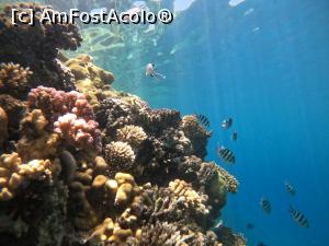 [P14]  -- <small>// FĂRĂ DESCRIERE</small> » foto by IuliaCat
 - 
<span class="allrVoted glyphicon glyphicon-heart hidden" id="av1231718"></span>
<a class="m-l-10 hidden" id="sv1231718" onclick="voting_Foto_DelVot(,1231718,3529)" role="button">șterge vot <span class="glyphicon glyphicon-remove"></span></a>
<a id="v91231718" class=" c-red"  onclick="voting_Foto_SetVot(1231718)" role="button"><span class="glyphicon glyphicon-heart-empty"></span> <b>LIKE</b> = Votează poza</a> <img class="hidden"  id="f1231718W9" src="/imagini/loader.gif" border="0" /><span class="AjErrMes hidden" id="e1231718ErM"></span>