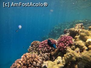 [P15]  -- <small>// FĂRĂ DESCRIERE</small> » foto by IuliaCat
 - 
<span class="allrVoted glyphicon glyphicon-heart hidden" id="av1231719"></span>
<a class="m-l-10 hidden" id="sv1231719" onclick="voting_Foto_DelVot(,1231719,3529)" role="button">șterge vot <span class="glyphicon glyphicon-remove"></span></a>
<a id="v91231719" class=" c-red"  onclick="voting_Foto_SetVot(1231719)" role="button"><span class="glyphicon glyphicon-heart-empty"></span> <b>LIKE</b> = Votează poza</a> <img class="hidden"  id="f1231719W9" src="/imagini/loader.gif" border="0" /><span class="AjErrMes hidden" id="e1231719ErM"></span>