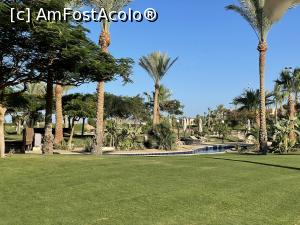 [P12] Gradina hotelului » foto by Teddy2021
 - 
<span class="allrVoted glyphicon glyphicon-heart hidden" id="av1233637"></span>
<a class="m-l-10 hidden" id="sv1233637" onclick="voting_Foto_DelVot(,1233637,3529)" role="button">șterge vot <span class="glyphicon glyphicon-remove"></span></a>
<a id="v91233637" class=" c-red"  onclick="voting_Foto_SetVot(1233637)" role="button"><span class="glyphicon glyphicon-heart-empty"></span> <b>LIKE</b> = Votează poza</a> <img class="hidden"  id="f1233637W9" src="/imagini/loader.gif" border="0" /><span class="AjErrMes hidden" id="e1233637ErM"></span>