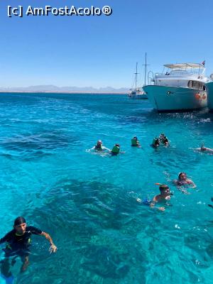[P13] Snorkelling in excursia la Orange Bay » foto by Teddy2021
 - 
<span class="allrVoted glyphicon glyphicon-heart hidden" id="av1233638"></span>
<a class="m-l-10 hidden" id="sv1233638" onclick="voting_Foto_DelVot(,1233638,3529)" role="button">șterge vot <span class="glyphicon glyphicon-remove"></span></a>
<a id="v91233638" class=" c-red"  onclick="voting_Foto_SetVot(1233638)" role="button"><span class="glyphicon glyphicon-heart-empty"></span> <b>LIKE</b> = Votează poza</a> <img class="hidden"  id="f1233638W9" src="/imagini/loader.gif" border="0" /><span class="AjErrMes hidden" id="e1233638ErM"></span>