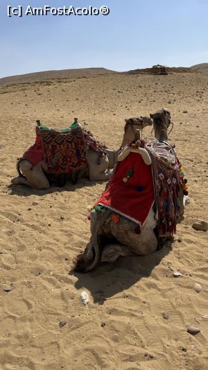 [P05]  -- <small>// FĂRĂ DESCRIERE</small> » foto by Ana 1987
 - 
<span class="allrVoted glyphicon glyphicon-heart hidden" id="av1234175"></span>
<a class="m-l-10 hidden" id="sv1234175" onclick="voting_Foto_DelVot(,1234175,3529)" role="button">șterge vot <span class="glyphicon glyphicon-remove"></span></a>
<a id="v91234175" class=" c-red"  onclick="voting_Foto_SetVot(1234175)" role="button"><span class="glyphicon glyphicon-heart-empty"></span> <b>LIKE</b> = Votează poza</a> <img class="hidden"  id="f1234175W9" src="/imagini/loader.gif" border="0" /><span class="AjErrMes hidden" id="e1234175ErM"></span>