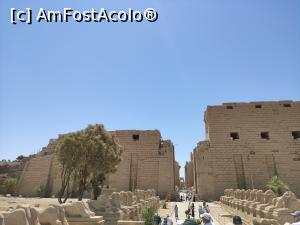 [P01] Templul lui Karnak » foto by Angi2021
 - 
<span class="allrVoted glyphicon glyphicon-heart hidden" id="av1242247"></span>
<a class="m-l-10 hidden" id="sv1242247" onclick="voting_Foto_DelVot(,1242247,3529)" role="button">șterge vot <span class="glyphicon glyphicon-remove"></span></a>
<a id="v91242247" class=" c-red"  onclick="voting_Foto_SetVot(1242247)" role="button"><span class="glyphicon glyphicon-heart-empty"></span> <b>LIKE</b> = Votează poza</a> <img class="hidden"  id="f1242247W9" src="/imagini/loader.gif" border="0" /><span class="AjErrMes hidden" id="e1242247ErM"></span>