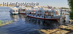 [P07] Vasul cu care am traversat Nilul » foto by Angi2021
 - 
<span class="allrVoted glyphicon glyphicon-heart hidden" id="av1242253"></span>
<a class="m-l-10 hidden" id="sv1242253" onclick="voting_Foto_DelVot(,1242253,3529)" role="button">șterge vot <span class="glyphicon glyphicon-remove"></span></a>
<a id="v91242253" class=" c-red"  onclick="voting_Foto_SetVot(1242253)" role="button"><span class="glyphicon glyphicon-heart-empty"></span> <b>LIKE</b> = Votează poza</a> <img class="hidden"  id="f1242253W9" src="/imagini/loader.gif" border="0" /><span class="AjErrMes hidden" id="e1242253ErM"></span>