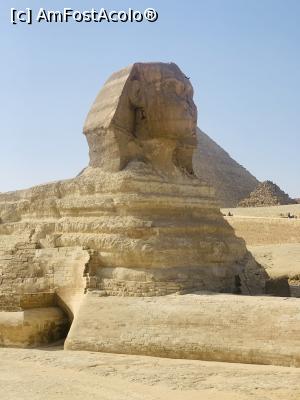 [P02]  -- <small>// FĂRĂ DESCRIERE</small> » foto by Oana21
 - 
<span class="allrVoted glyphicon glyphicon-heart hidden" id="av1251824"></span>
<a class="m-l-10 hidden" id="sv1251824" onclick="voting_Foto_DelVot(,1251824,3529)" role="button">șterge vot <span class="glyphicon glyphicon-remove"></span></a>
<a id="v91251824" class=" c-red"  onclick="voting_Foto_SetVot(1251824)" role="button"><span class="glyphicon glyphicon-heart-empty"></span> <b>LIKE</b> = Votează poza</a> <img class="hidden"  id="f1251824W9" src="/imagini/loader.gif" border="0" /><span class="AjErrMes hidden" id="e1251824ErM"></span>