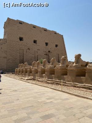 [P24]  -- <small>// FĂRĂ DESCRIERE</small> » foto by ux122494
 - 
<span class="allrVoted glyphicon glyphicon-heart hidden" id="av1252712"></span>
<a class="m-l-10 hidden" id="sv1252712" onclick="voting_Foto_DelVot(,1252712,3529)" role="button">șterge vot <span class="glyphicon glyphicon-remove"></span></a>
<a id="v91252712" class=" c-red"  onclick="voting_Foto_SetVot(1252712)" role="button"><span class="glyphicon glyphicon-heart-empty"></span> <b>LIKE</b> = Votează poza</a> <img class="hidden"  id="f1252712W9" src="/imagini/loader.gif" border="0" /><span class="AjErrMes hidden" id="e1252712ErM"></span>