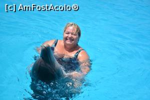 [P03] Minunății delfini » foto by DanielaTimoc
 - 
<span class="allrVoted glyphicon glyphicon-heart hidden" id="av1255487"></span>
<a class="m-l-10 hidden" id="sv1255487" onclick="voting_Foto_DelVot(,1255487,3529)" role="button">șterge vot <span class="glyphicon glyphicon-remove"></span></a>
<a id="v91255487" class=" c-red"  onclick="voting_Foto_SetVot(1255487)" role="button"><span class="glyphicon glyphicon-heart-empty"></span> <b>LIKE</b> = Votează poza</a> <img class="hidden"  id="f1255487W9" src="/imagini/loader.gif" border="0" /><span class="AjErrMes hidden" id="e1255487ErM"></span>