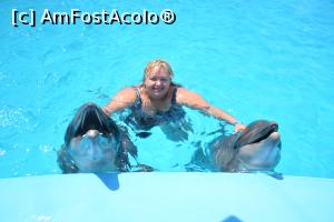 [P04] Bucurie pură. » foto by DanielaTimoc
 - 
<span class="allrVoted glyphicon glyphicon-heart hidden" id="av1255488"></span>
<a class="m-l-10 hidden" id="sv1255488" onclick="voting_Foto_DelVot(,1255488,3529)" role="button">șterge vot <span class="glyphicon glyphicon-remove"></span></a>
<a id="v91255488" class=" c-red"  onclick="voting_Foto_SetVot(1255488)" role="button"><span class="glyphicon glyphicon-heart-empty"></span> <b>LIKE</b> = Votează poza</a> <img class="hidden"  id="f1255488W9" src="/imagini/loader.gif" border="0" /><span class="AjErrMes hidden" id="e1255488ErM"></span>