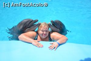 [P05] Ador delfinii » foto by DanielaTimoc
 - 
<span class="allrVoted glyphicon glyphicon-heart hidden" id="av1255489"></span>
<a class="m-l-10 hidden" id="sv1255489" onclick="voting_Foto_DelVot(,1255489,3529)" role="button">șterge vot <span class="glyphicon glyphicon-remove"></span></a>
<a id="v91255489" class=" c-red"  onclick="voting_Foto_SetVot(1255489)" role="button"><span class="glyphicon glyphicon-heart-empty"></span> <b>LIKE</b> = Votează poza</a> <img class="hidden"  id="f1255489W9" src="/imagini/loader.gif" border="0" /><span class="AjErrMes hidden" id="e1255489ErM"></span>