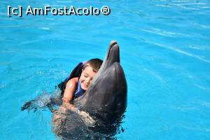 [P01] Linistea suprema in bratele delfinilor. » foto by Roxana Sirbu
 - 
<span class="allrVoted glyphicon glyphicon-heart hidden" id="av1258915"></span>
<a class="m-l-10 hidden" id="sv1258915" onclick="voting_Foto_DelVot(,1258915,3529)" role="button">șterge vot <span class="glyphicon glyphicon-remove"></span></a>
<a id="v91258915" class=" c-red"  onclick="voting_Foto_SetVot(1258915)" role="button"><span class="glyphicon glyphicon-heart-empty"></span> <b>LIKE</b> = Votează poza</a> <img class="hidden"  id="f1258915W9" src="/imagini/loader.gif" border="0" /><span class="AjErrMes hidden" id="e1258915ErM"></span>
