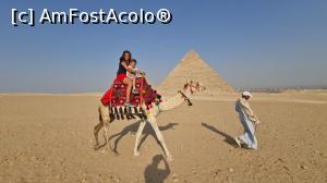 [P05] Plimbare cu camila la piramide » foto by Roxana Sirbu
 - 
<span class="allrVoted glyphicon glyphicon-heart hidden" id="av1258919"></span>
<a class="m-l-10 hidden" id="sv1258919" onclick="voting_Foto_DelVot(,1258919,3529)" role="button">șterge vot <span class="glyphicon glyphicon-remove"></span></a>
<a id="v91258919" class=" c-red"  onclick="voting_Foto_SetVot(1258919)" role="button"><span class="glyphicon glyphicon-heart-empty"></span> <b>LIKE</b> = Votează poza</a> <img class="hidden"  id="f1258919W9" src="/imagini/loader.gif" border="0" /><span class="AjErrMes hidden" id="e1258919ErM"></span>