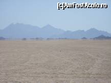 [P02] Mirajul vazut in departare » foto by artistul_18
 - 
<span class="allrVoted glyphicon glyphicon-heart hidden" id="av154918"></span>
<a class="m-l-10 hidden" id="sv154918" onclick="voting_Foto_DelVot(,154918,3529)" role="button">șterge vot <span class="glyphicon glyphicon-remove"></span></a>
<a id="v9154918" class=" c-red"  onclick="voting_Foto_SetVot(154918)" role="button"><span class="glyphicon glyphicon-heart-empty"></span> <b>LIKE</b> = Votează poza</a> <img class="hidden"  id="f154918W9" src="/imagini/loader.gif" border="0" /><span class="AjErrMes hidden" id="e154918ErM"></span>